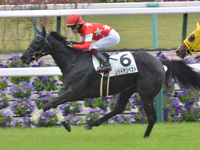 京都4R　未勝利　レッドテンペスト