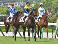 新馬　本馬場入場