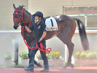 未勝利　パドック