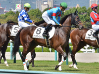 新馬　本馬場入場