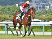 新馬　本馬場入場