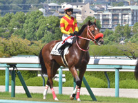 新馬　本馬場入場