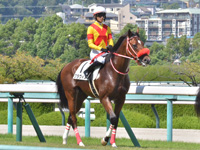 新馬　本馬場入場