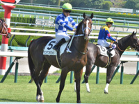 新馬　本馬場入場