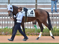 未勝利　パドック