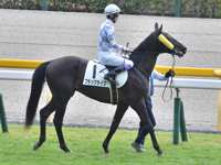 新馬　本馬場入場