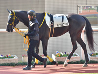 未勝利　パドック