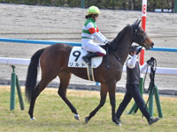 新馬　本馬場入場