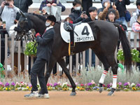 新馬　パドック