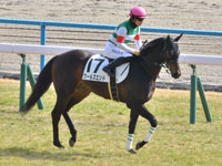 新馬　本馬場入場