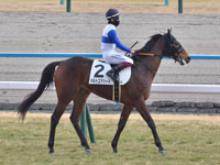 未勝利　本馬場入場