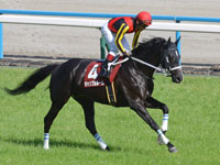 第72回 京都新聞杯 （GII）　キャンター