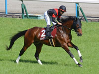 第72回 京都新聞杯 （GII）　キャンター