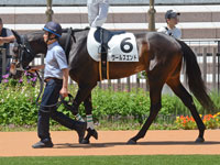 1勝クラス　パドック