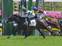 1勝クラス　ゴール前