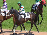 1勝クラス　凱旋