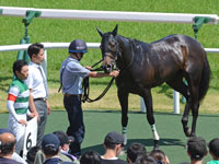 1勝クラス　口取り