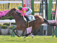 京都5R　新馬　オスカーブレーヴ