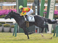 京都3R　未勝利　ジャスティンアース