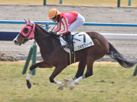 京都6R　未勝利（牝）　ジョセフィーナ