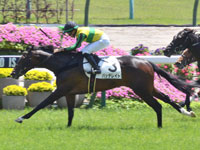 京都5R　未勝利　バッデレイト
