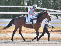 本馬場入場