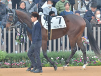 未勝利　パドック