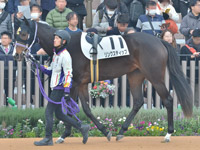 未勝利　パドック