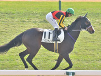 未勝利　キャンター