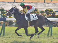 未勝利　ゴール前