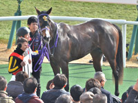 未勝利　口取り