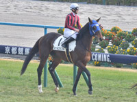 未勝利　本馬場入場