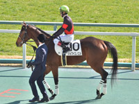 本馬場入場