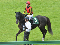 第72回 毎日杯（GIII）　本馬場入場