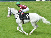 君子蘭賞 （1勝クラス）　本馬場入場