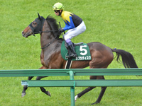 本馬場入場