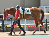 1勝クラス　パドック