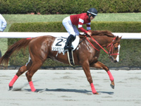 1勝クラス　キャンター