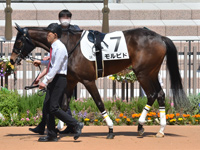 未勝利　パドック