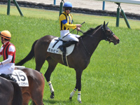 未勝利　レース後