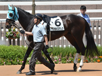 1勝クラス　パドック