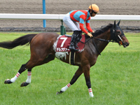 第73回 京都新聞杯（ＧII）　キャンター