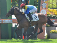 京都2R　未勝利　ランフォーヴァウ