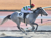 中京3R　未勝利　ネーヴェフレスカ