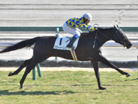 中京3R　未勝利　ネーヴェフレスカ