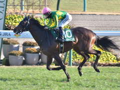 第65回 きさらぎ賞（ＧIII）　サトノシャイニング