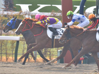 京都1R　未勝利　リアルスター