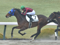 阪神3R　未勝利　シャルクハフト