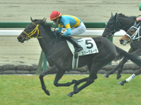 阪神5R　未勝利　エバーグルーヴ