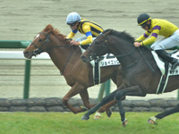 阪神6R　未勝利　ジョイエッロ